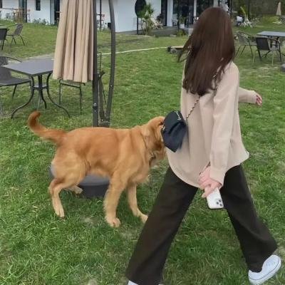 阿戈斯蒂诺